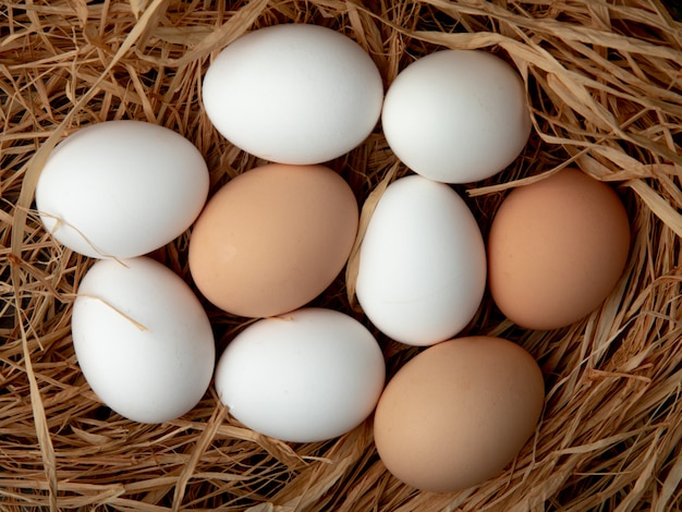 Close-up view of eggs on straw surface