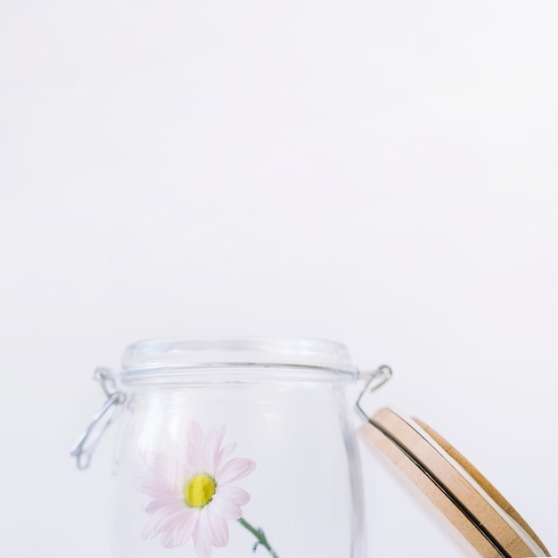 Close up view of flower in glass