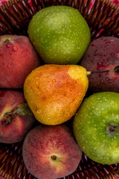 Primo piano vista di frutti freschi e colorati sul secchio