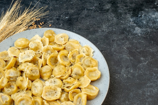 Close up view of fried dumplings in a white plate spikes on the right side on dark color table with free space