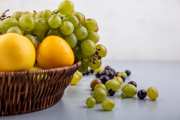 Close-up view of fruits as grape nectacots in basket and grape berries on gray surface and white background