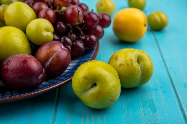 접시와 파란색 배경에 pluots nectacots 자두와 포도로 과일의 근접 촬영보기