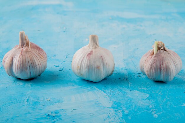 Close-up view of garlic bulbs on blue background with copy space