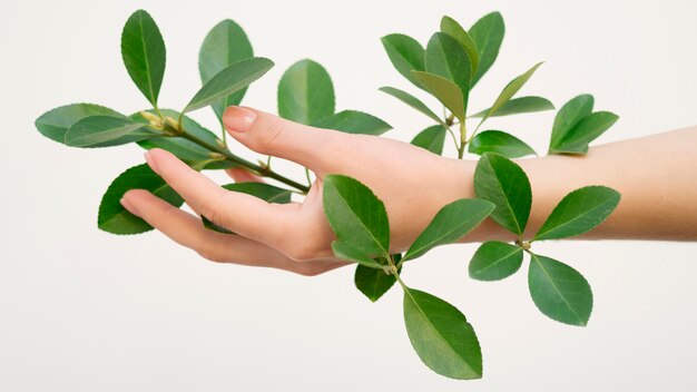 Close-up view of green leafs on hand concept