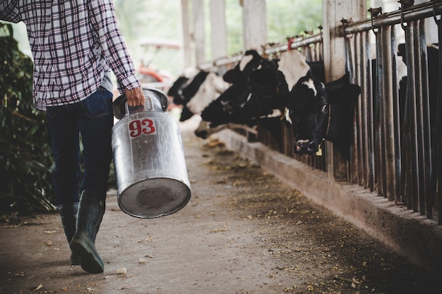 Close-up view on the legs of farmer working with fresh grass at the animal barn