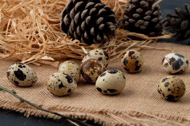 Close-up view of mini eggs with straw and pine cone on sackcloth surface