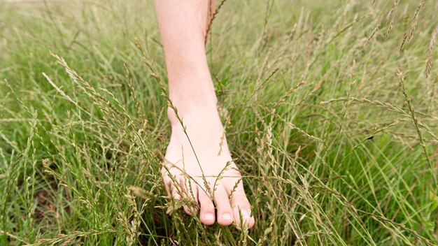 Close-up view of nature concept