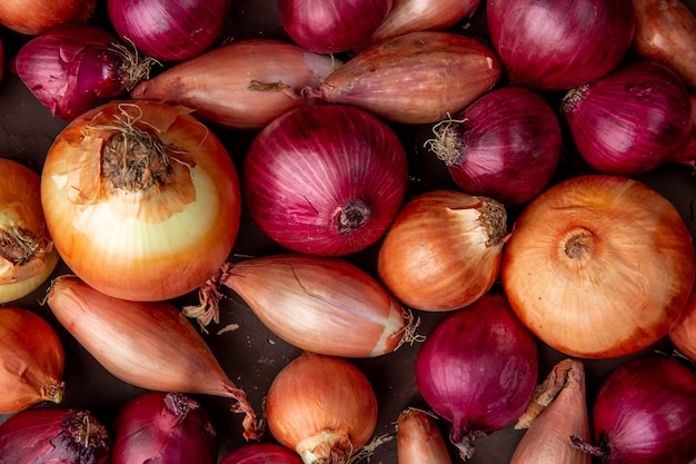 Close-up view of pattern of different types of onions