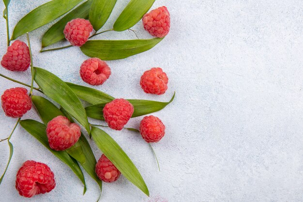 Close up view of pattern of raspberries and leaves on white surface with copy space