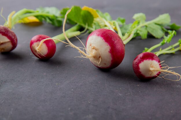 Close-up view of radishes on maroon background with copy space