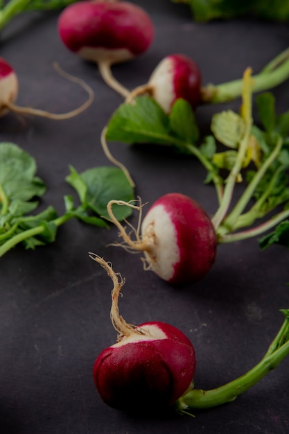 Close-up view of radishes on maroon background