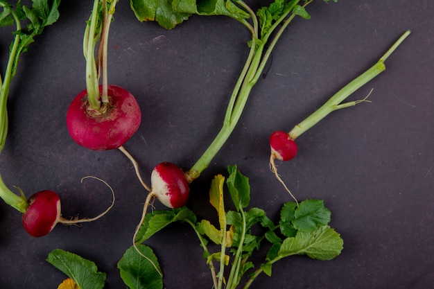 Close-up view of red radishes on maroon background with copy space 1