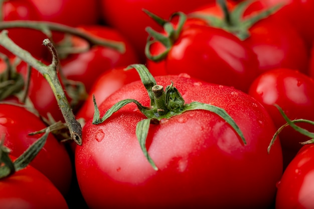 Chiuda sulla vista dei pomodori freschi maturi con le gocce dell'acqua