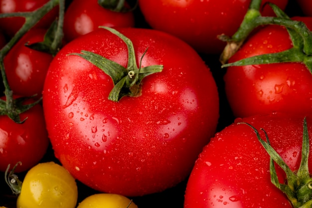 Close-up view of tomatoes