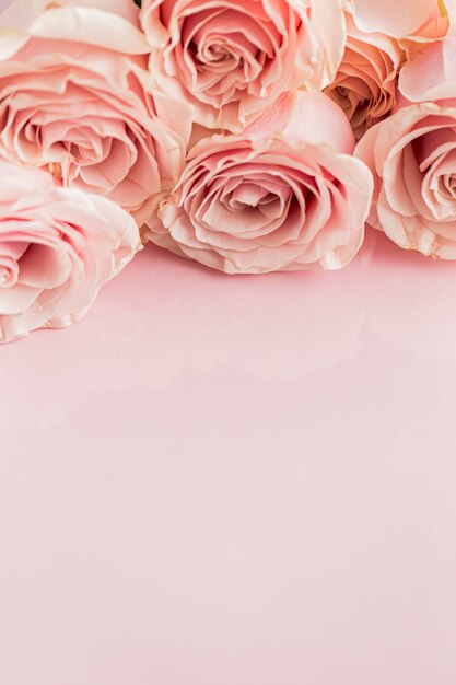 Close-up view of valentine;s day concept with roses