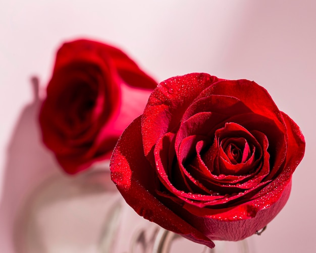 Close-up view of valentine;s day concept with roses