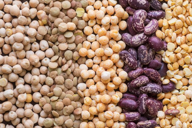 Close-up view of various beans arrangement