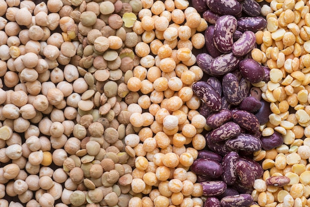 Close-up view of various beans arrangement
