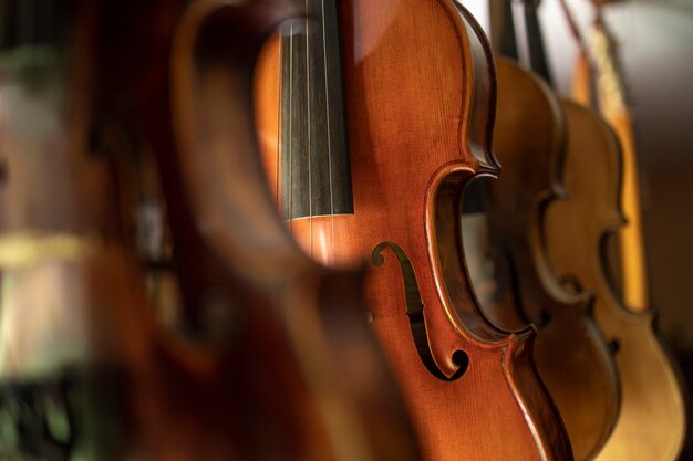 Close up view of violins music instrument