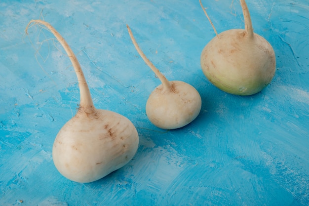 Free photo close-up view of white radishes on blue background with copy space