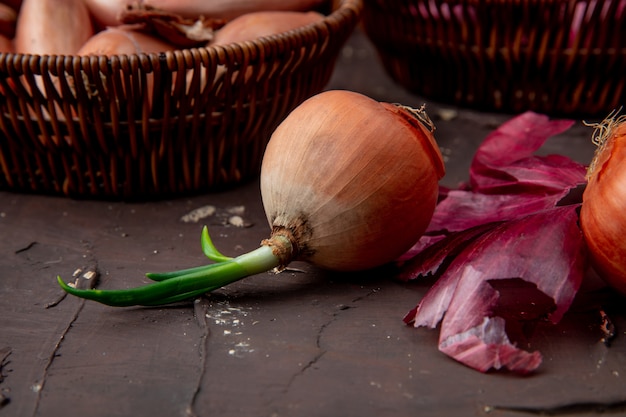 Close-up view of whole onion on maroon background