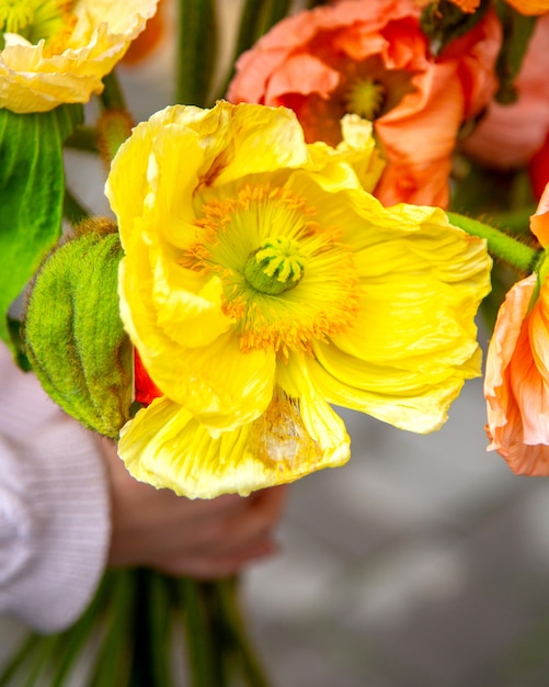 Foto gratuita chiuda sulla vista del mazzo giallo dei fiori dell'anemone