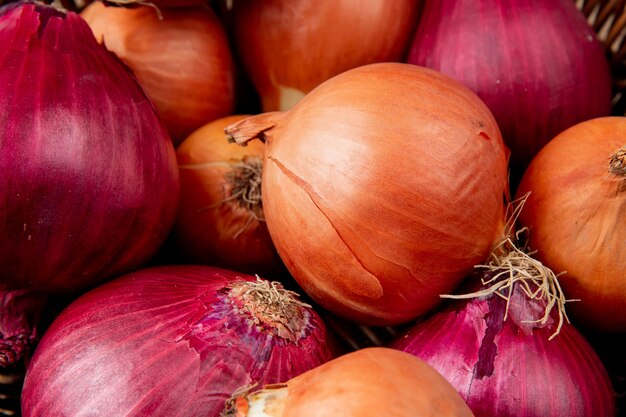 Close-up view of yellow and red onions