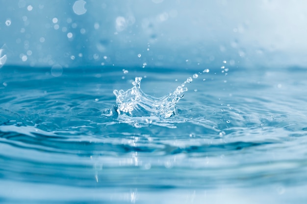 Close-up of water drops