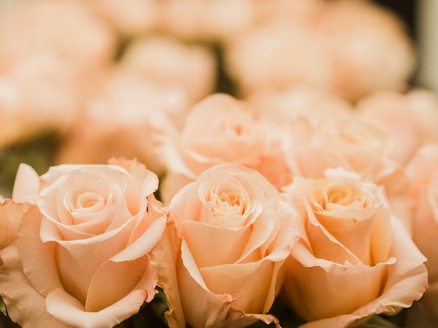 Close up of wedding rose bouquet