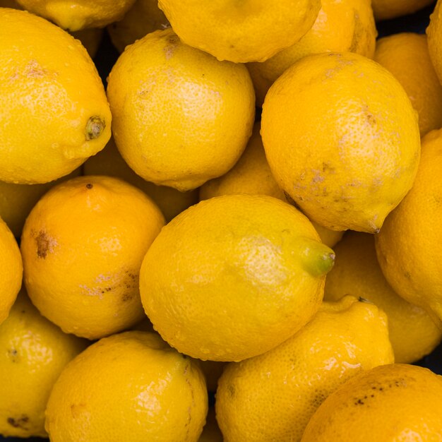 Close-up of wet whole lemons