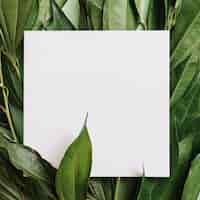 Free photo close-up of white blank paper over the green leaves twigs