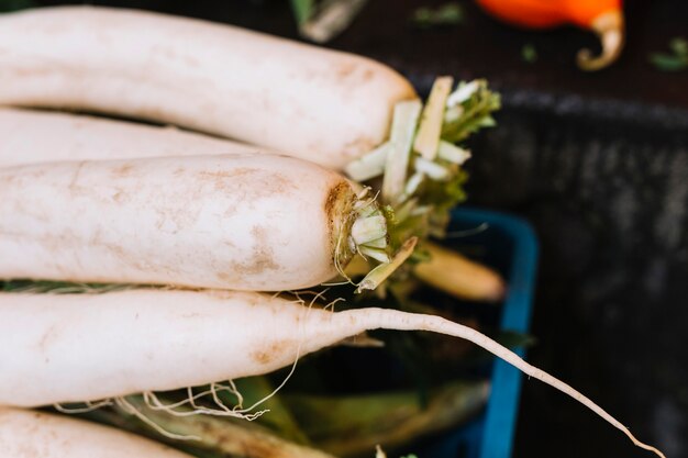 Close-up of white daikon radish