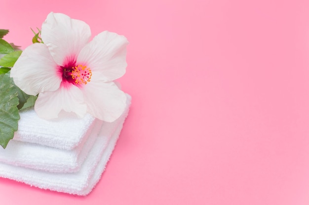 Close-up of white hibiscus flower and towels on pink backdrop