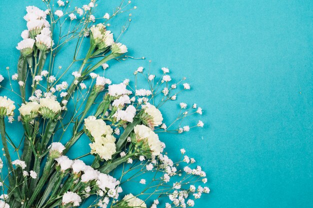 青色の背景に白のリモニウムと石膏の花のクローズアップ