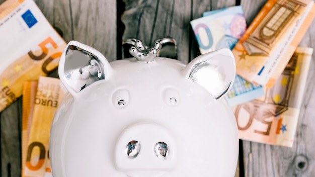 Close-up of white piggybank's face with euro banknotes