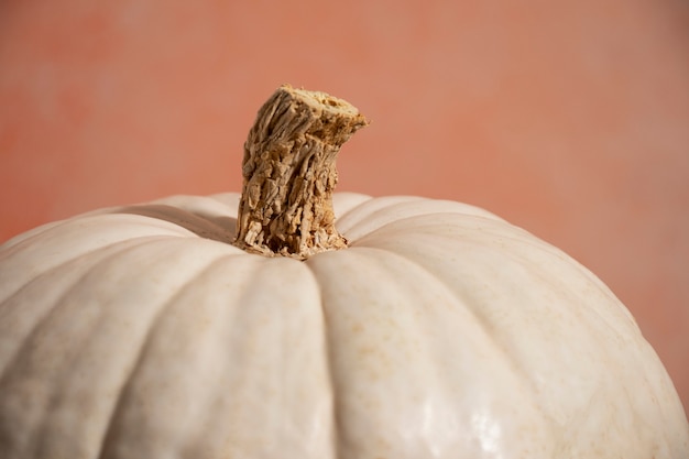 Free photo close up white pumpkin with pink background