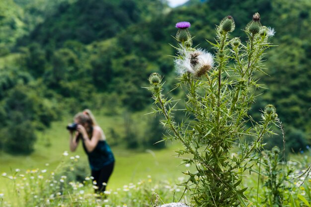 バックグラウンドで写真家と野生の花をクローズアップ