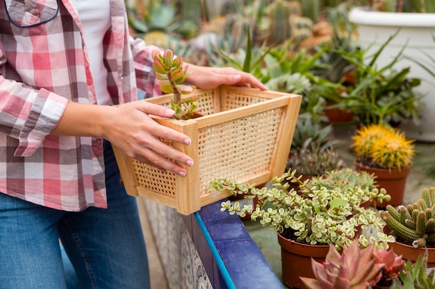 Close-up woman arranging flower pots in greenhouse