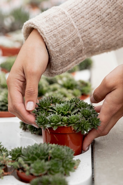 Foto gratuita donna del primo piano che organizza il vaso da fiori