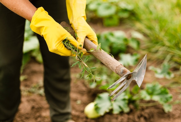 Close-up woman caring the crops