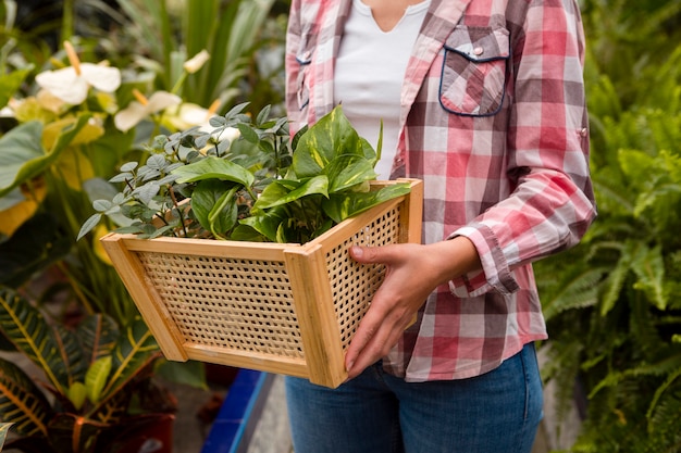 Free photo close-up woman carrying basket in greenhouse