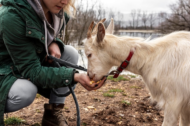 Close-up woman and cute goat  outdoors