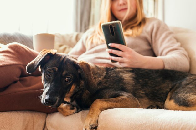 ソファの上の女性と犬をクローズアップ