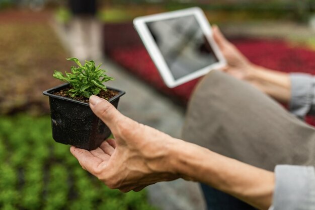 식물 종묘장에서 일하는 동안 식물 성장을 검사하고 터치패드를 사용하는 여성 클로즈업
