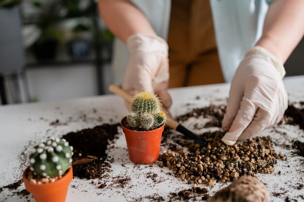 Close up woman growing plants