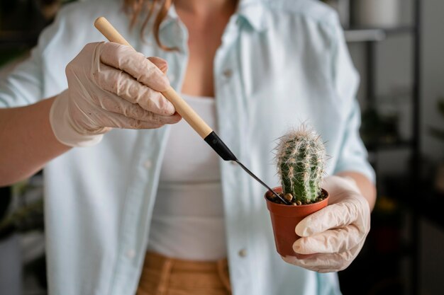 Chiuda sulle piante che crescono della donna