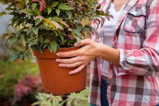 大きな植木鉢を保持しているクローズアップの女性