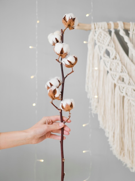 Close-up woman holding a branch