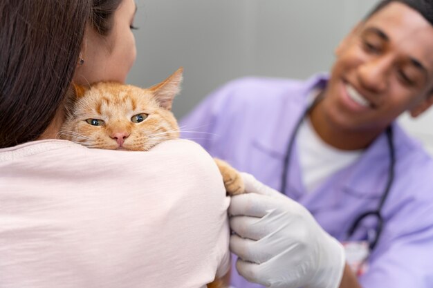 close up woman holding cute cat