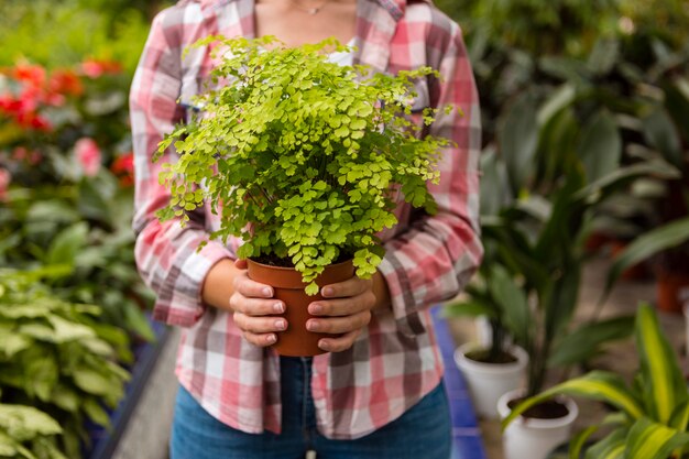 Close-up woman holding flower pot in greenhouse